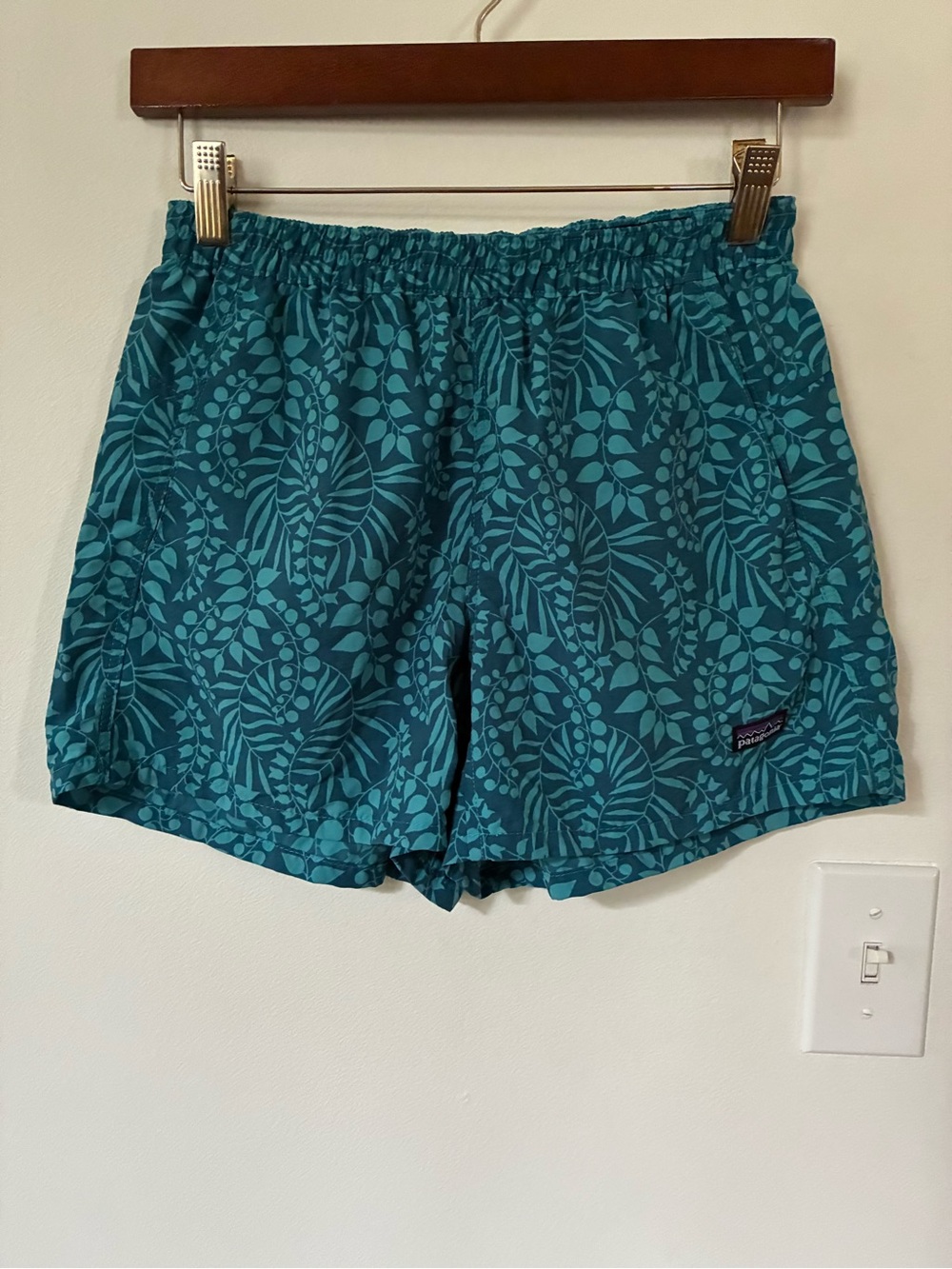 Patagonia Baggies Shorts